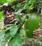 Эктор Хименес-Браво 1