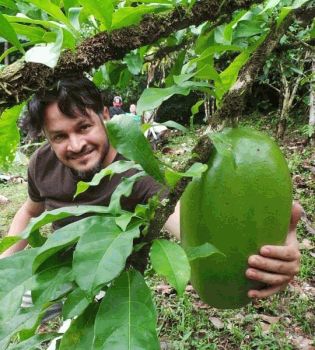 Эктор Хименес-Браво 1