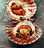 Морские гребешки