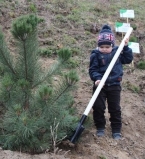 Посади дерево - сделай свою планету чище и зеленее