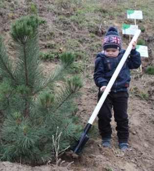 Посади дерево - сделай свою планету чище и зеленее