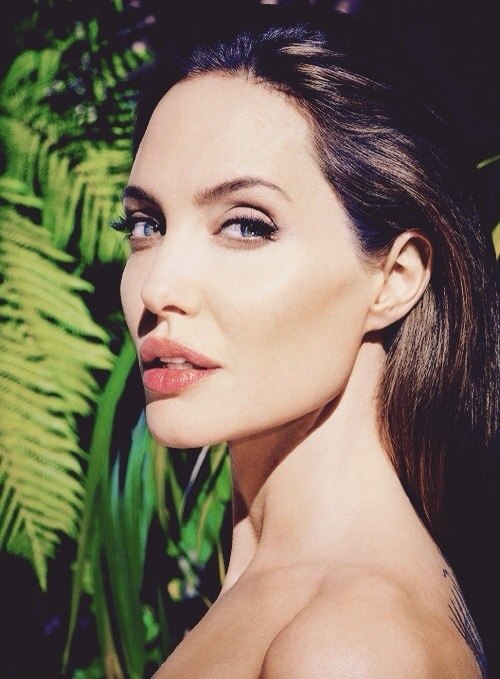 Анджелина Джоли не готова стать мамой в седьмой раз