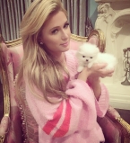 Пэрис Хилтон похвасталась очередным любимчиком