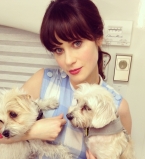 Зоуи Дешанель беременна