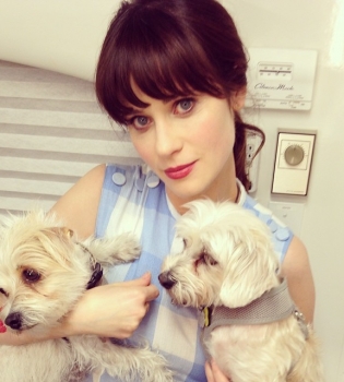 Зоуи Дешанель беременна