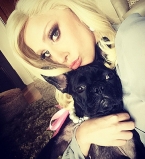 Хью Джекман, Леди Гага, Пэрис Хилтон: звезды показали своих четвероногих друзей