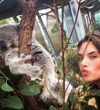 Алессандра Амбросио с коалой