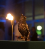 Ночной гольф