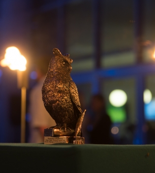 Ночной гольф