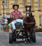 Николай Тищенко променял свой комфортный автомобиль на коня с телегой