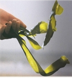 Водоросли в косметике