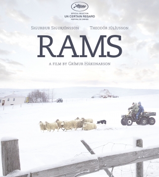 Скандинавскую панораму на Молодости-2015 откроет каннский лауреат