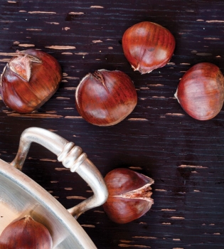 Фестиваль каштанов