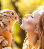 осенняя ярмарка в Киеве