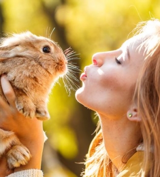 осенняя ярмарка в Киеве