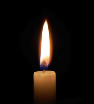 Звезды прокомментировали авиакатастрофу в Египте