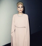 Леди Гага демонстрирует отменный стиль в элегантном наряде Valentino