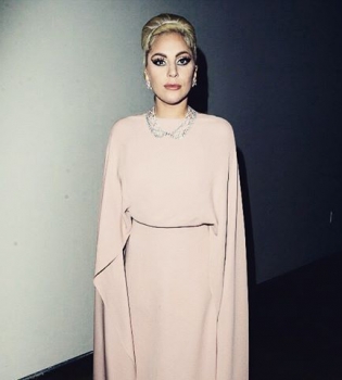 Леди Гага демонстрирует отменный стиль в элегантном наряде Valentino