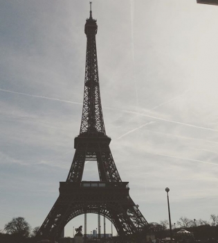 Украинские и российские знаменитости прокомментировали теракт в Париже