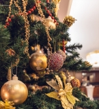 Новый год во Дворце