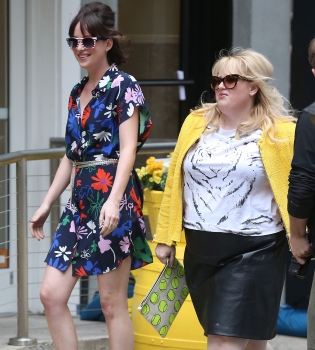 Яркий дует: в сети появился трейлер картины &quot;Легко ли быть одной?&quot; с Дакотой Джонсон и Ребел Уилсон