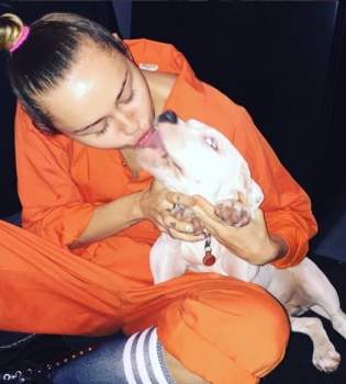 Майли Сайрус обвинили в издевательстве над домашними животными