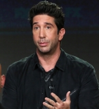 Дэвид Швиммер о продолжении сериала: "Видимо, воссоединения не будет"