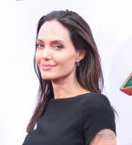 Анджелина Джоли: &quot;Я никогда не хотела иметь детей&quot;