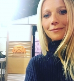 Красота требует жертв:  Гвинет Пэлтроу молодится с помощью яда пчел