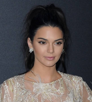 Канны 2016: Кендалл Дженнер блистает в элегантном наряде Elie Saab