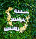 Фестиваль цветов и джазовых импровизаций