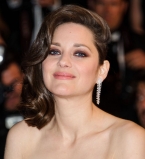 Марион Котийяр фото