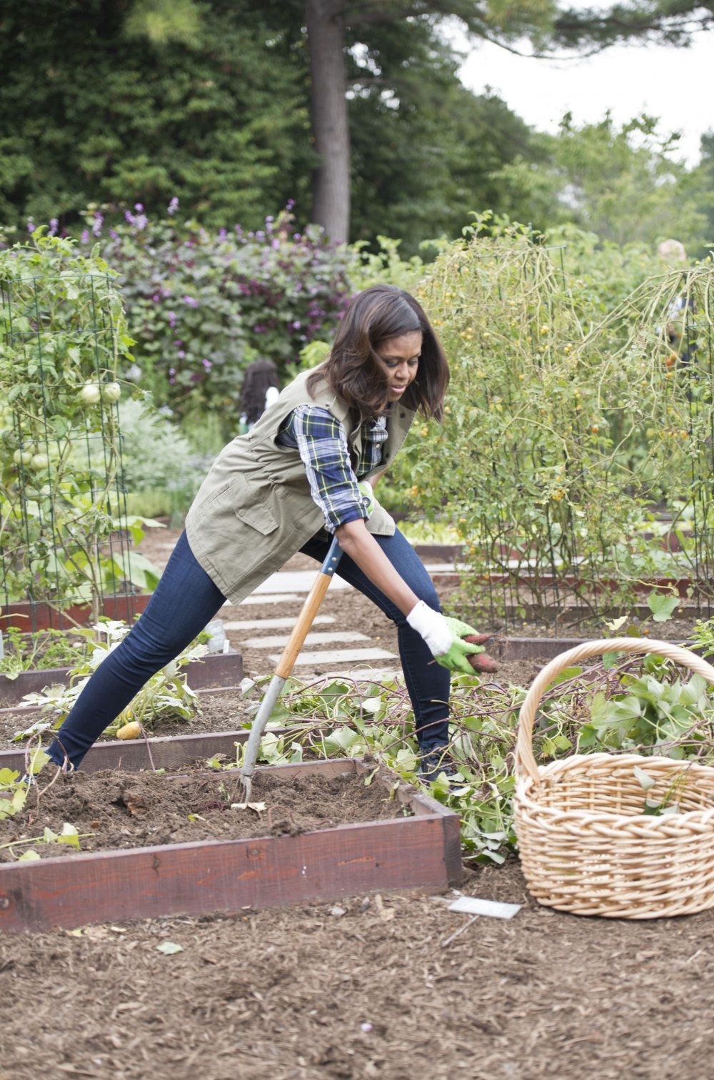 Мишель Обама работает в саду Белого дома