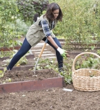 Мишель Обама работает в саду Белого дома