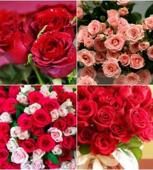 доставка цветов в Одессе от UFL