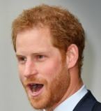 Принц Гарри и Меган Маркл впервые появились на публике вместе