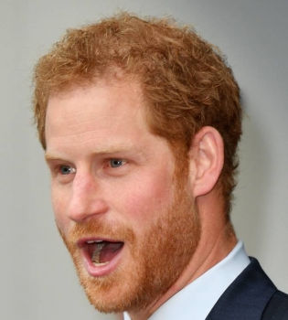 Принц Гарри и Меган Маркл впервые появились на публике вместе