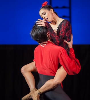 Екатерина Кухар выступила в Киеве с температурой 39 градусов