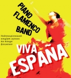 VIVA ESPAÑA. Концерт музыки и танца фламенко