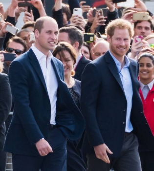 Любящие сыновья: принцы Уильям и Гарри установят памятник своей маме принцессе Диане