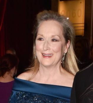 Кто победил Chanel: платье Мерил Стрип стало самым обсуждаемым на церемонии &quot;Оскар-2017&quot;