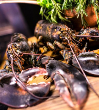 Греческая кухня мастер-класс