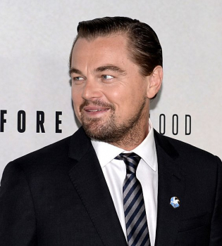 Еще одна красотка не устояла: Леонардо ДиКаприо закрутил роман с 23-летней моделью