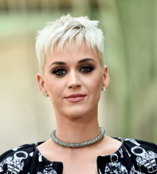 Кэти Перри прокомментировала воссоединение с Орландо Блумом