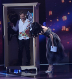 Из звездного шкафа: в шоу Сюрприз, сюрприз знаменитости раздали свои счастливые вещи