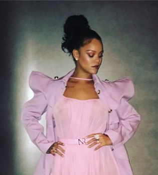 Показать все: Рианна позирует в прозрачном наряде на голое тело