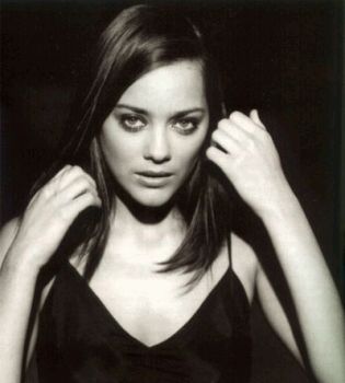 Марион Котийяр в ч/б