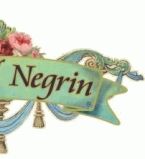 Михаль Негрин