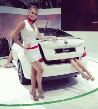 шкода и телко