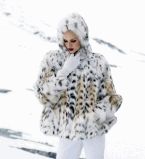 меха 2012 пеар